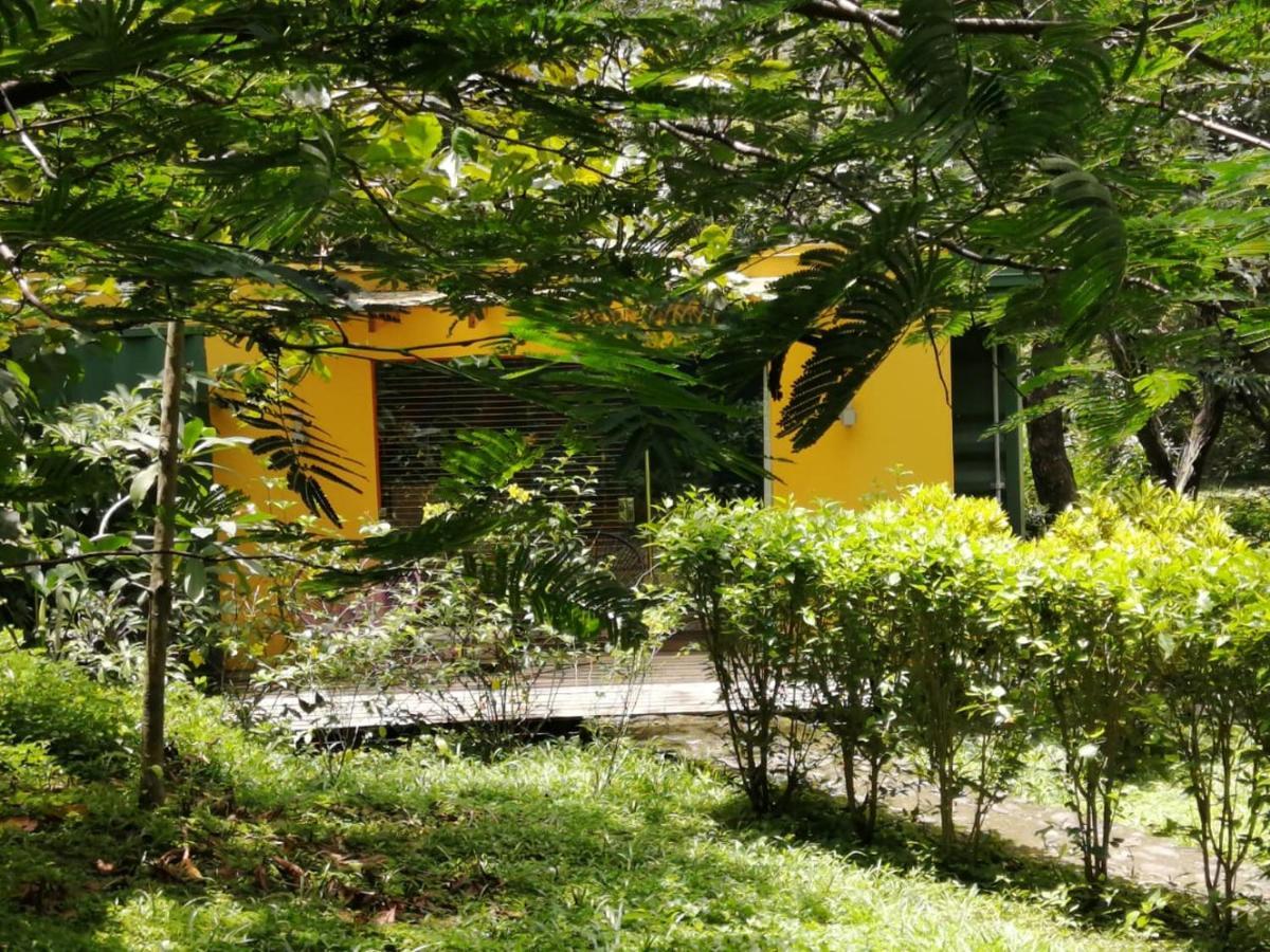 Casa Rural Aroma De Campo Curubande 외부 사진